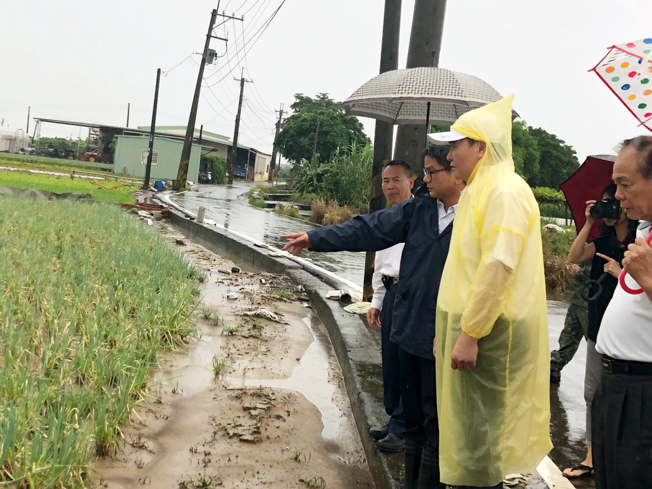 市長前往蔬菜產區關心農損　指示加速蔬菜復耕穩定菜價