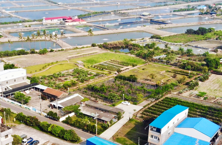 高市推社區營造多元輔助方案　5月底截止申請、名額有限...