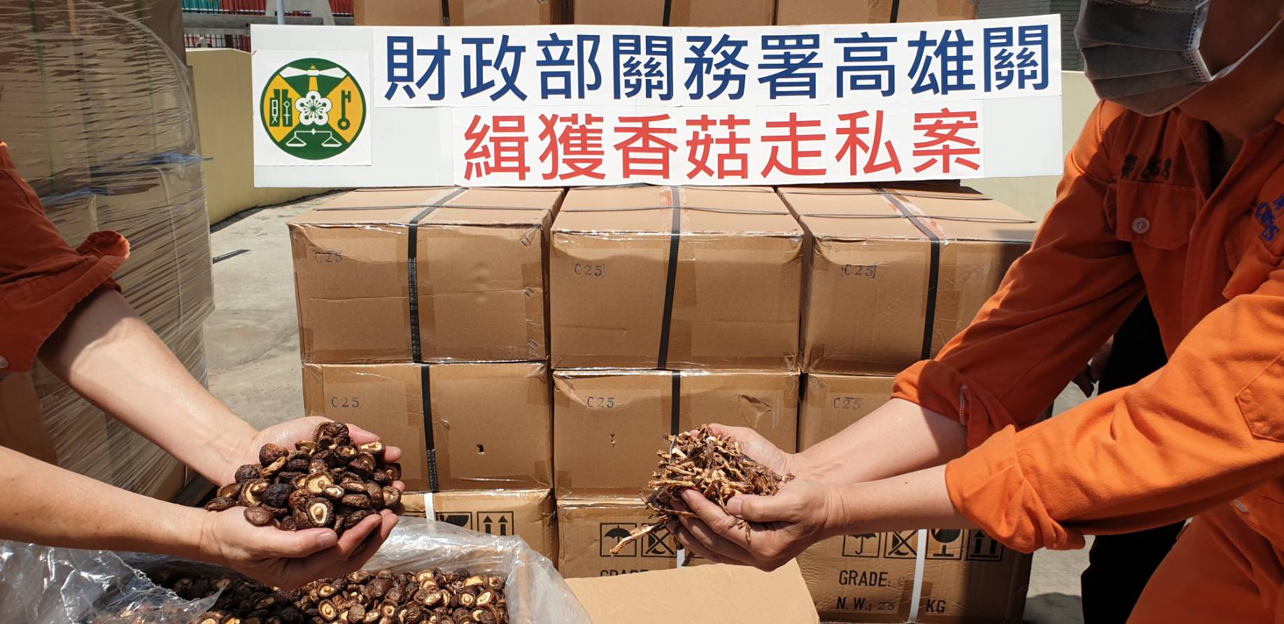高雄關再傳捷報！　端午節前緝獲貨櫃走私香菇...