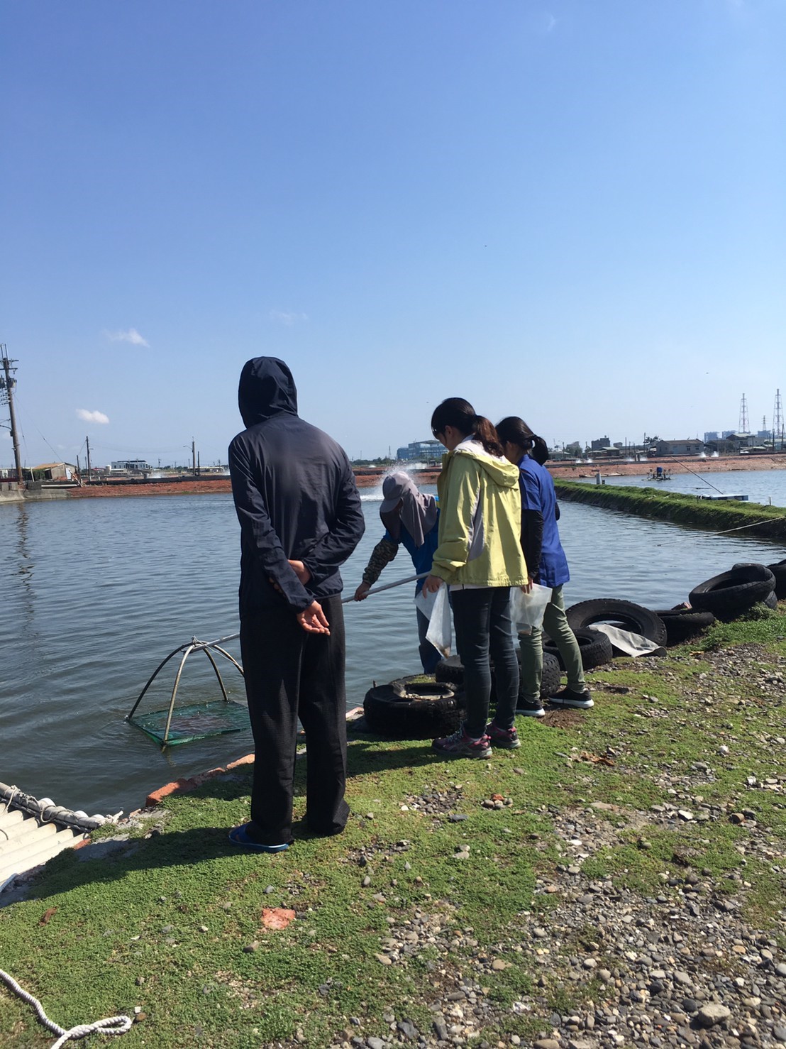 不再「蝦」忙  夏季水產養殖觀察有訣竅...