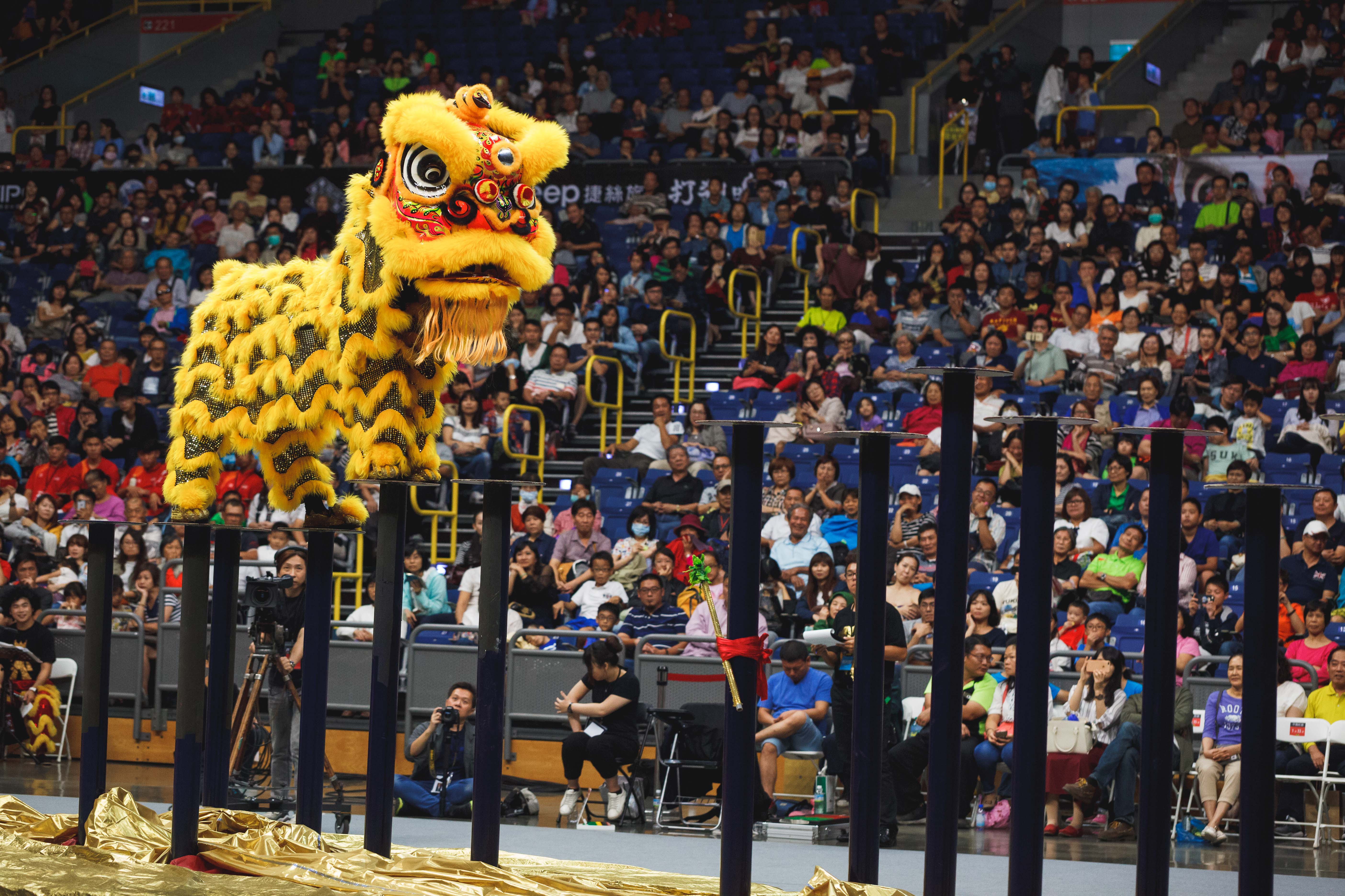 2019高雄水陸戲獅甲獅王爭霸11月16、17日為臺灣獅隊加油！...