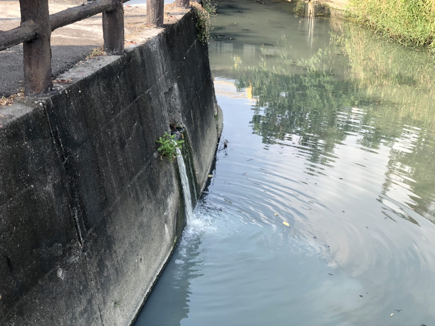 高市環保局查察林園區頂厝橋大排及愛河水質...