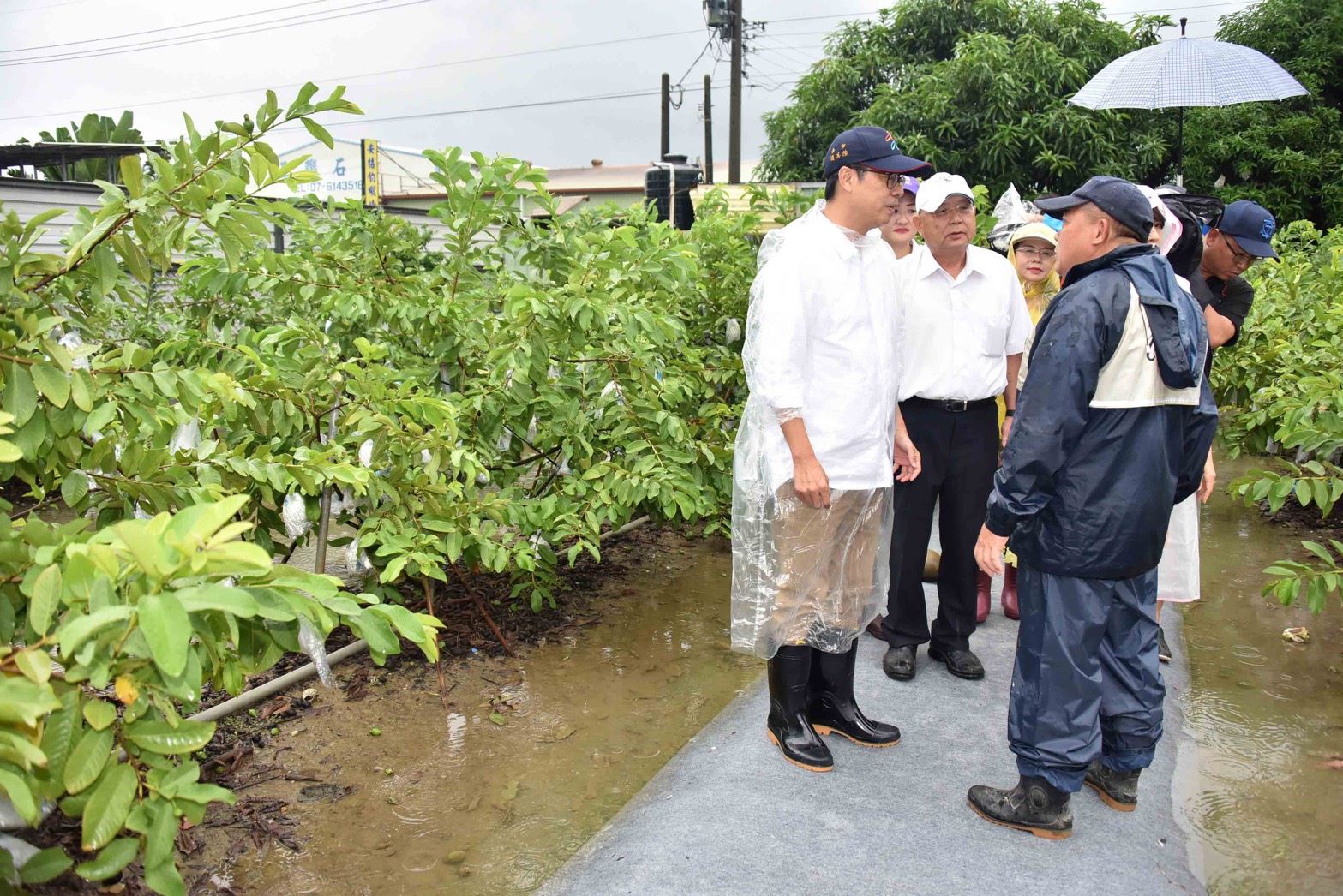 高市重視蔬果供應及農損  陳其邁前往梓官燕巢視察...