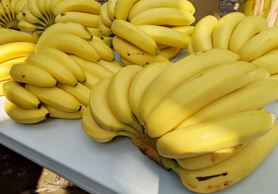 各界響應購買高雄香蕉  企業熱烈團購9萬公斤  