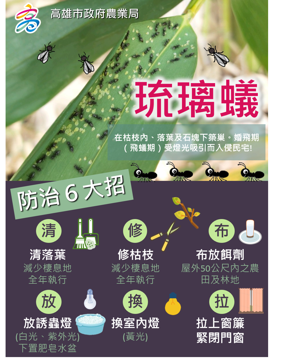 高市全方位控水防蟻  陳其邁要求市府跨局處協同作戰   ...