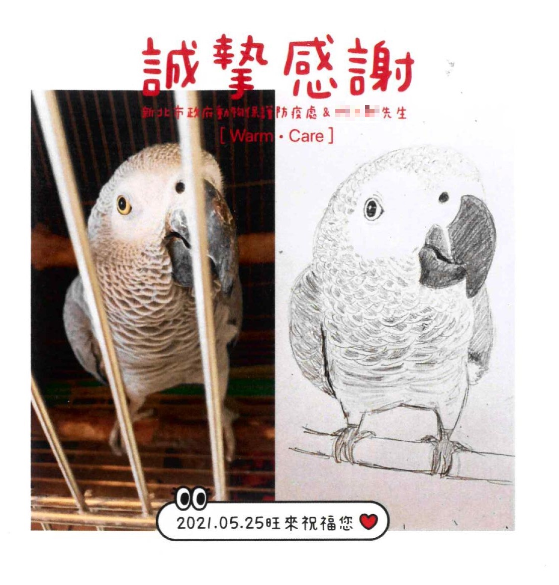 新北寵物安置再升級  媒合防疫寵物旅館再增3家...