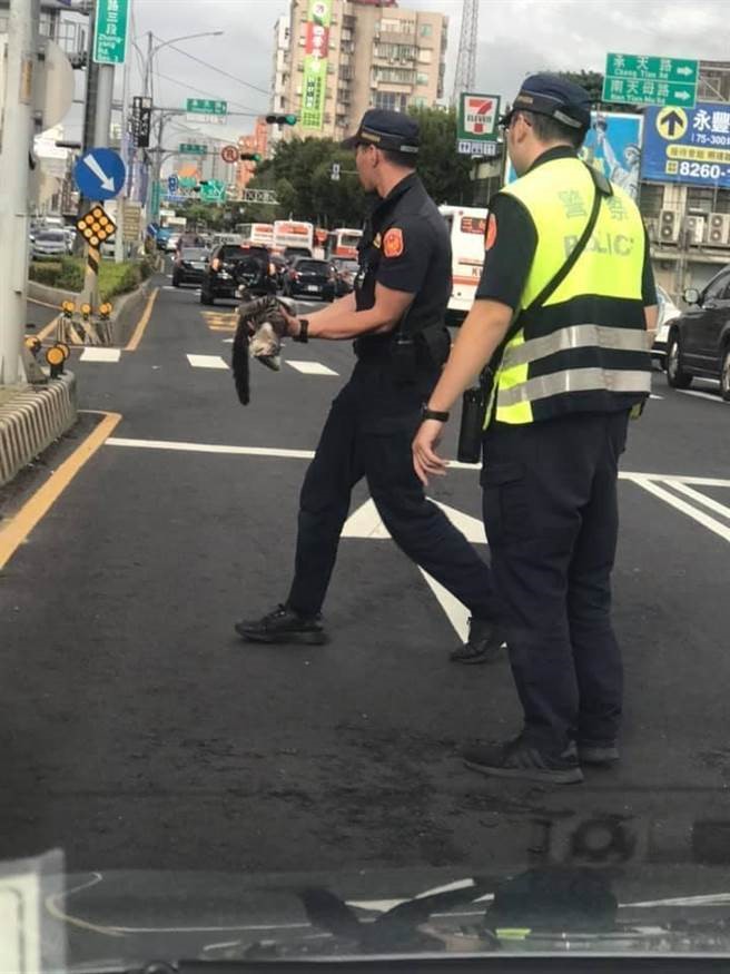 615警察節 新北動保處提供員警寵物免費注射疫苗...