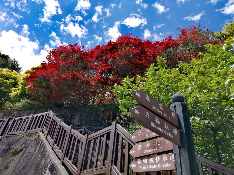 參山處遊客中心登山步道有條件開放  谷關溫泉公園泡腳池...