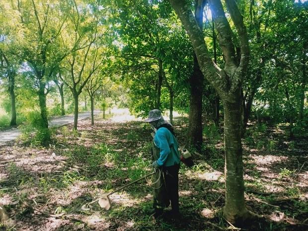 臺南市配合登革熱防治政策　加強宣導園區廠商定期刈除雜...