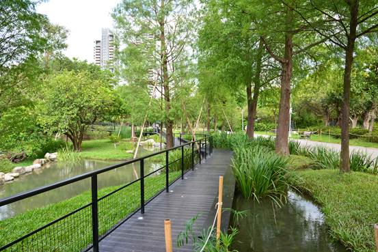 漫步大安森林公園 一同享受自然美景...