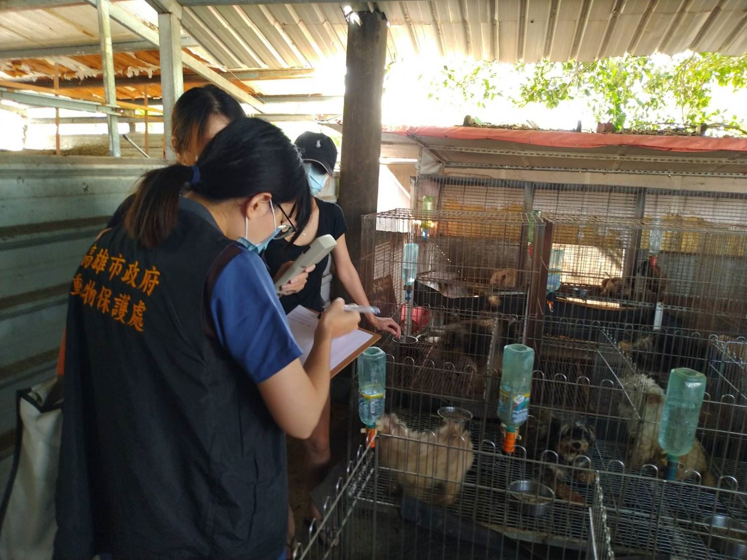 業者涉非法走私犬貓案 市府持續追查案情...
