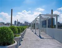 高雄綠園道正式完成 綠意景色煥然一新...