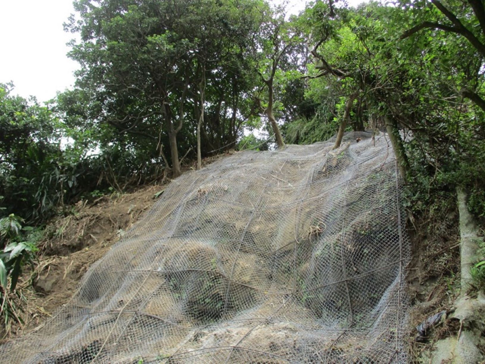 金山磺港災害復建 避免災害二次發生...