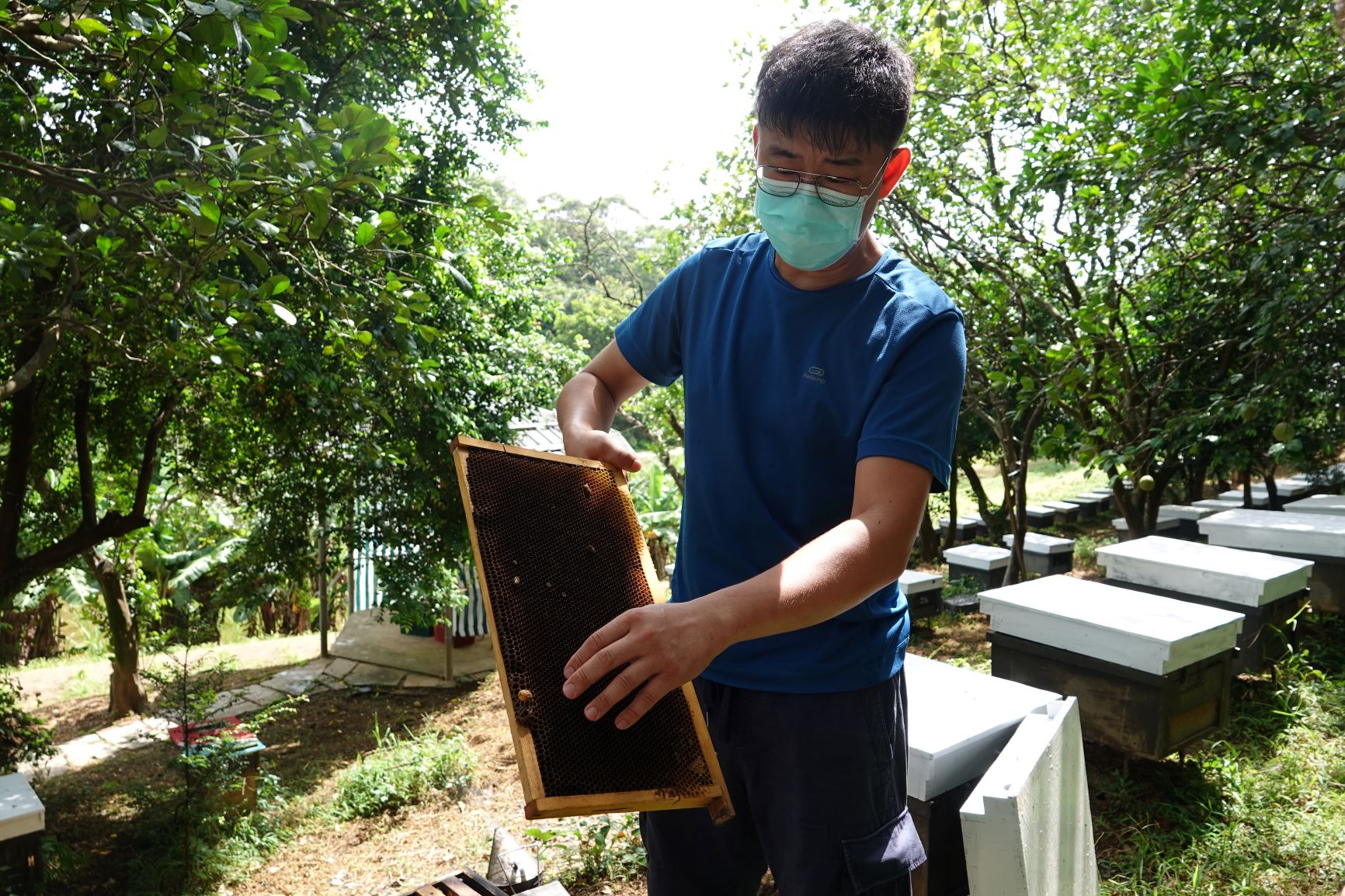 新北農創e遊券限量推出 邀請民眾體驗農業創生特色...