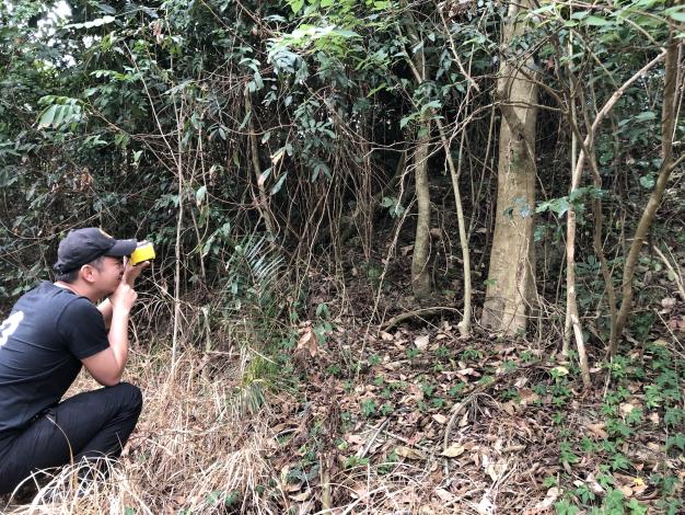 南市府積極完成山坡地土地查定作業國土永續經營及保育再邁進