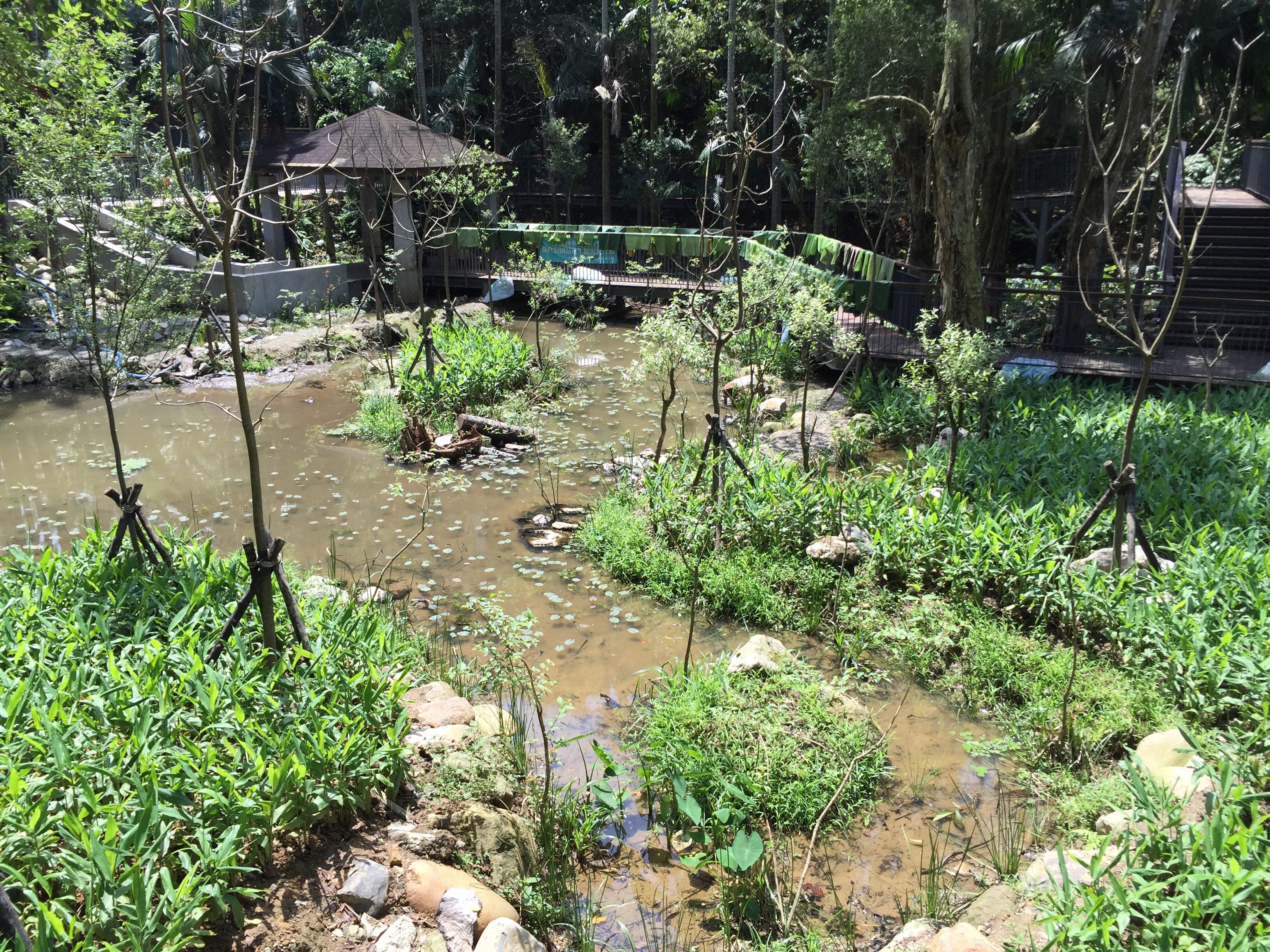 推動公園生態化 北市擬定每年3座公園進程