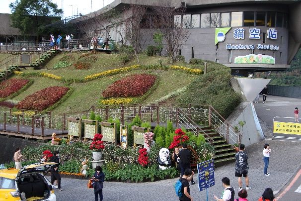 漫步在貓空 盡賞魯冰花