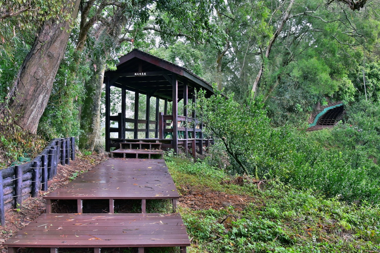 春遊台中登山樂趣多 觀旅局將石岡挑物古道整修完工