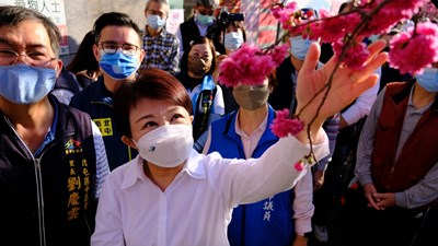 來平昌里賞櫻正當時   盧秀燕：都市賞櫻好美好暖心