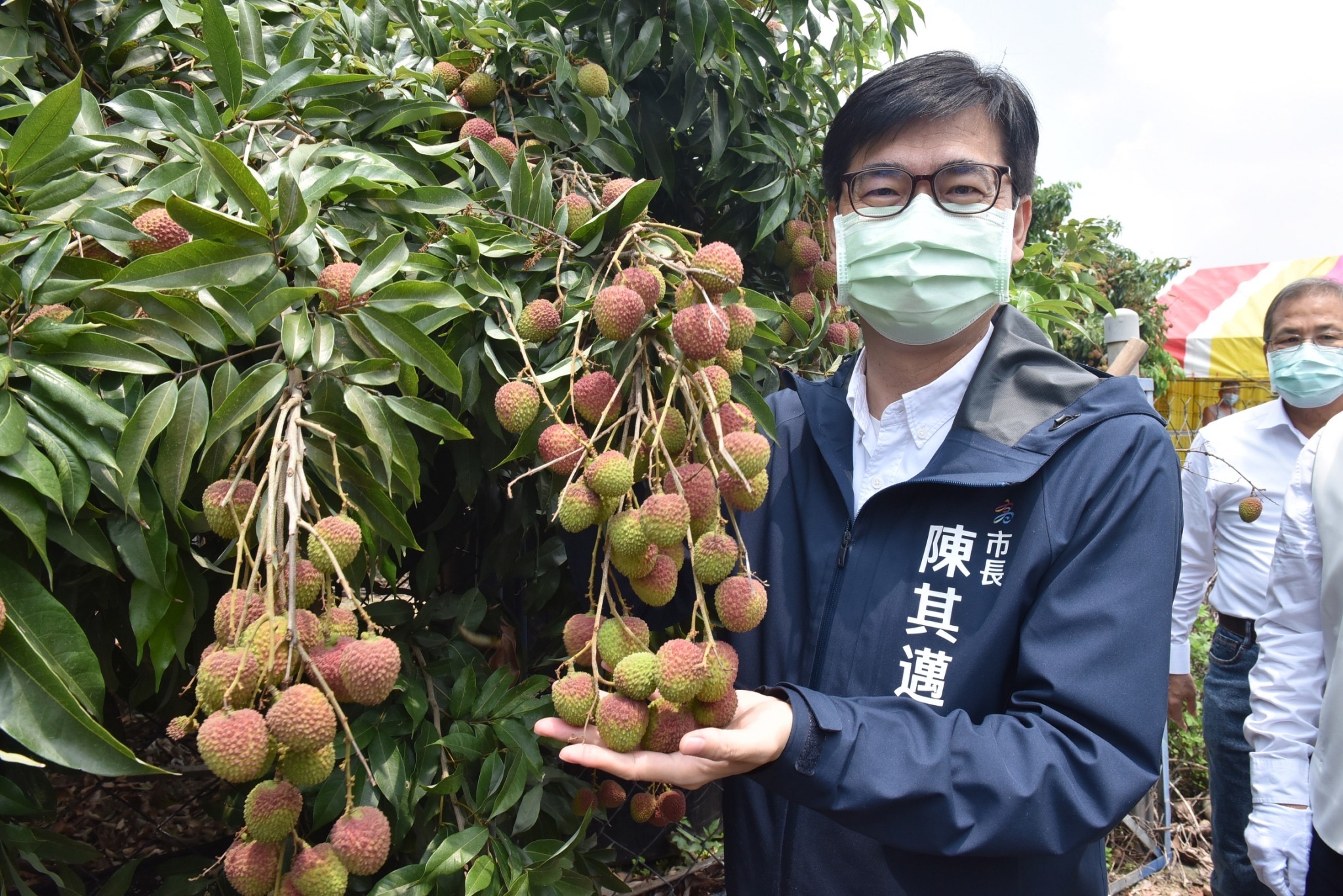 化身大樹鳳梨 荔枝頭號代言人 陳其邁：欲購從速 錯過再等一年