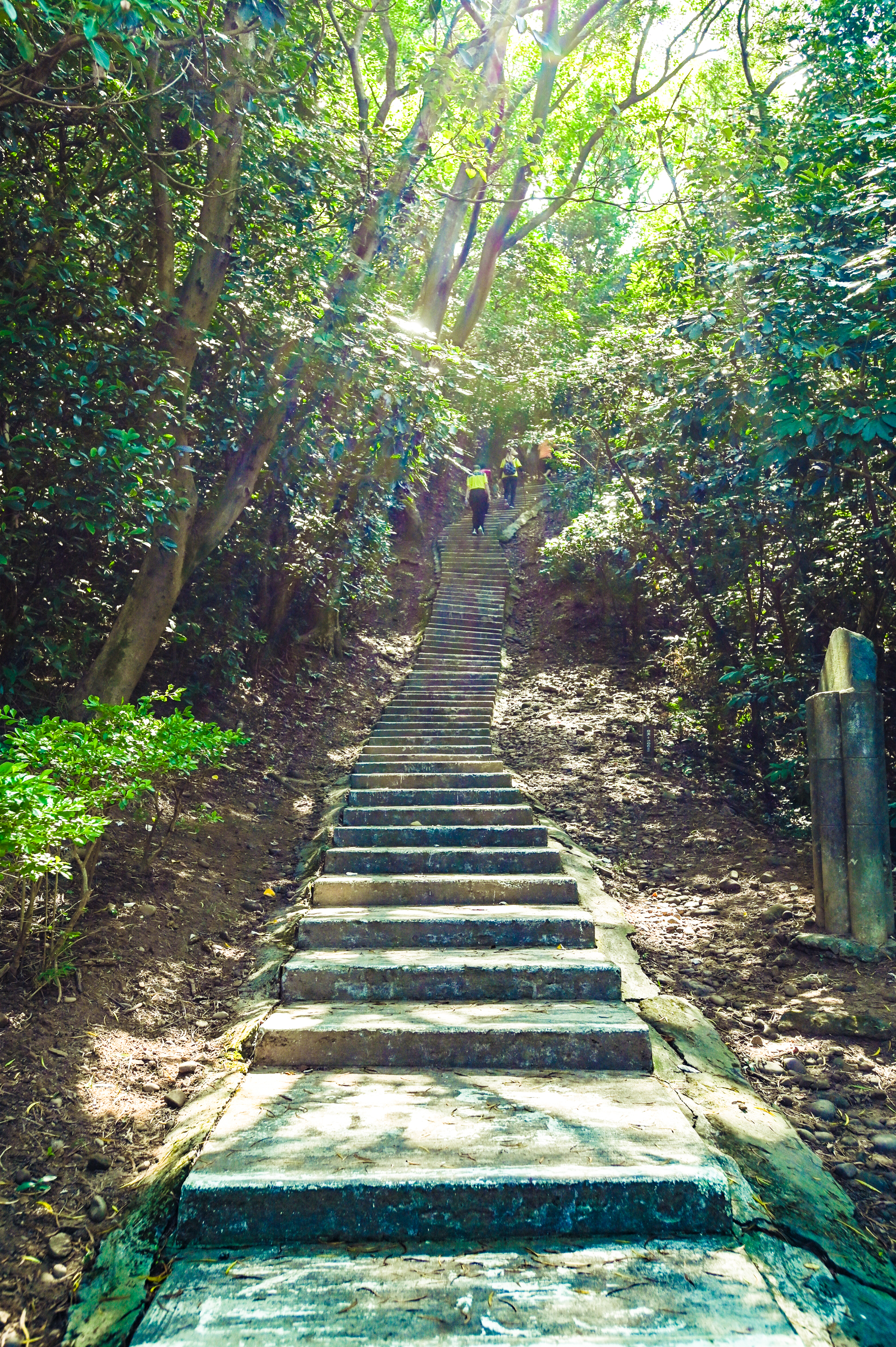 蘆竹五酒桶山手作步道啟用  採生態工法降低自然衝擊  票選...