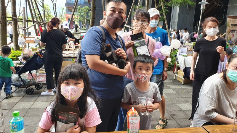黏鼠板黏到貓  貓公所救治後成功媒合送養...