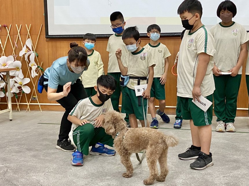 台中動保深度教育圓滿落幕  療癒犬助教打開孩子心扉