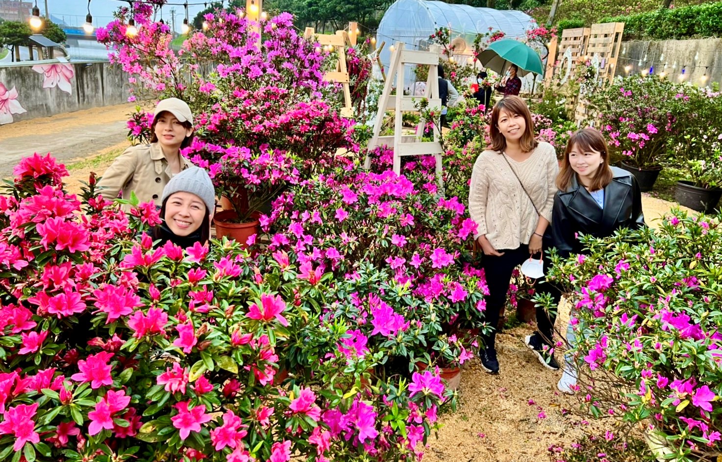 2023萬金杜鵑2月25日開展  20位藝術家聯手打造「移動花聚落」...