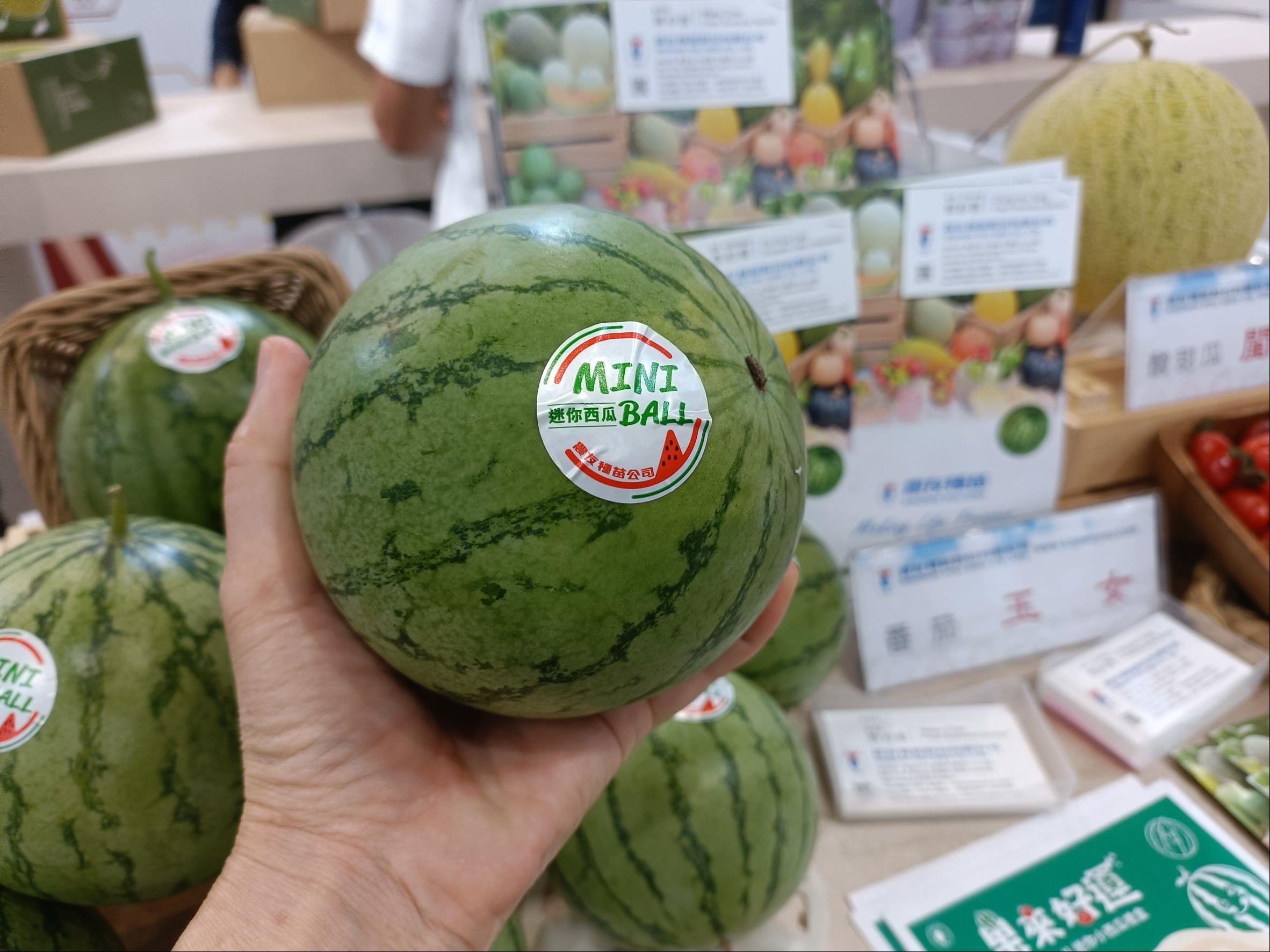高雄迷你西瓜、活芽豌豆苗 台北食品展首度發表