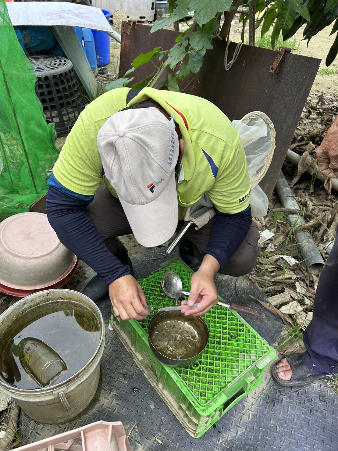 高市本土登革熱+4 境外移入+2 左營區青雲宮市集周邊及小港區青島里依法加強孳生源稽查舉發