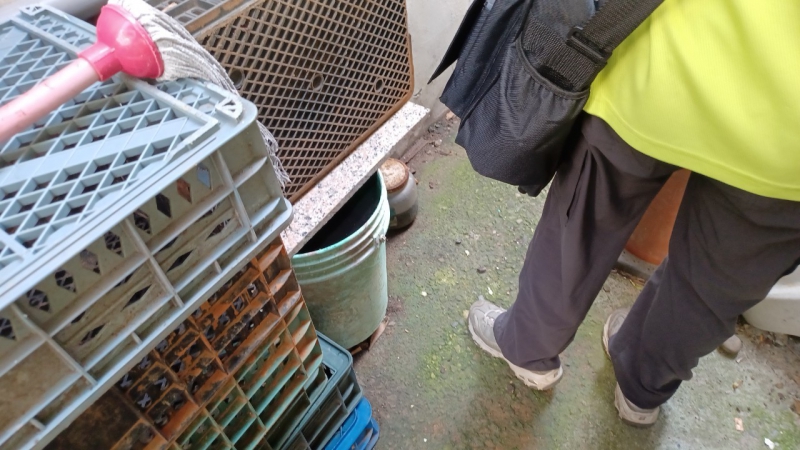 小犬颱風來襲  戶內外容器清收 減少病媒蚊孳生...
