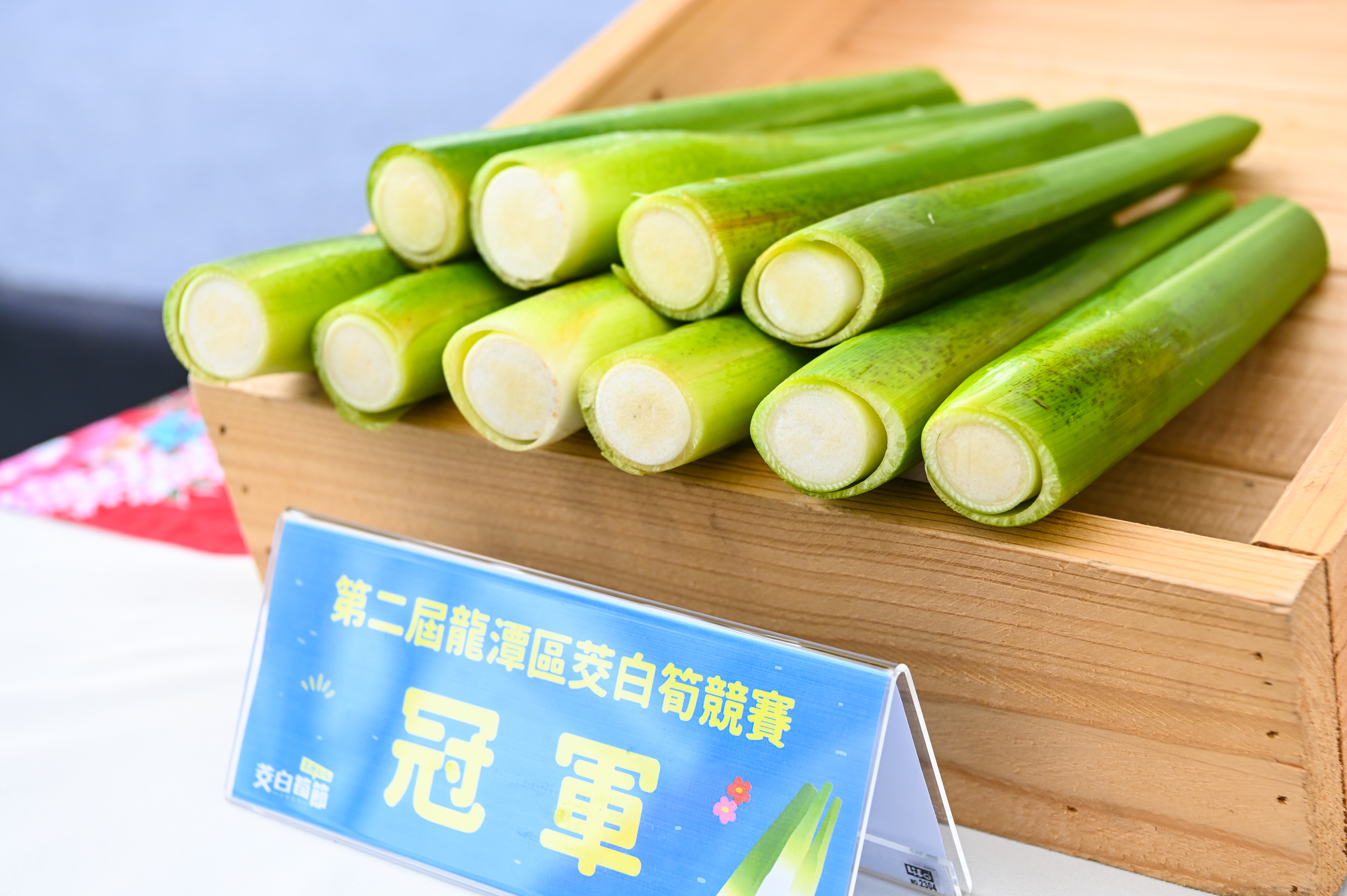 龍潭三坑茭白筍節   台灣最優質茭白筍登場...