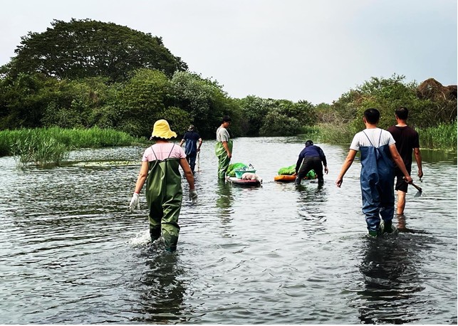 大樹舊鐵橋濕地榮獲2023環境生態保育之綠獎肯定