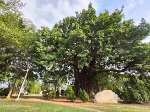 竹林公園穿越時空邂逅百年文化資產