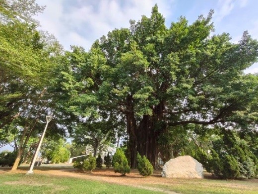 竹林公園穿越時空邂逅百年文化資產