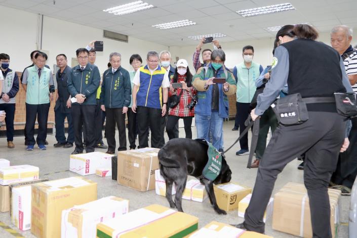 防新型非洲豬瘟入境 臺南郵件處理中心視察把關...