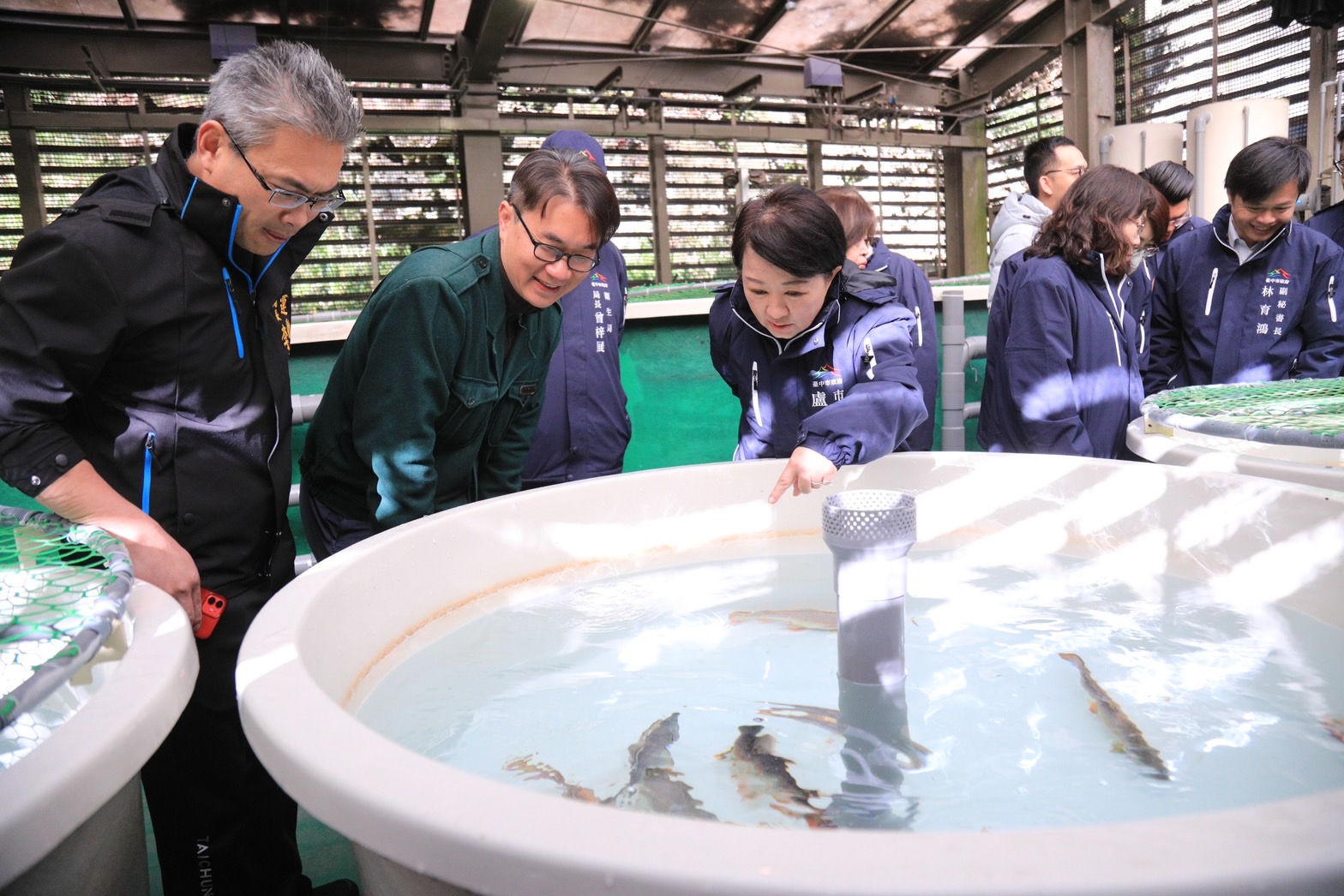 台中保育櫻花鉤吻鮭有成 盧市長深受感動持續努力
