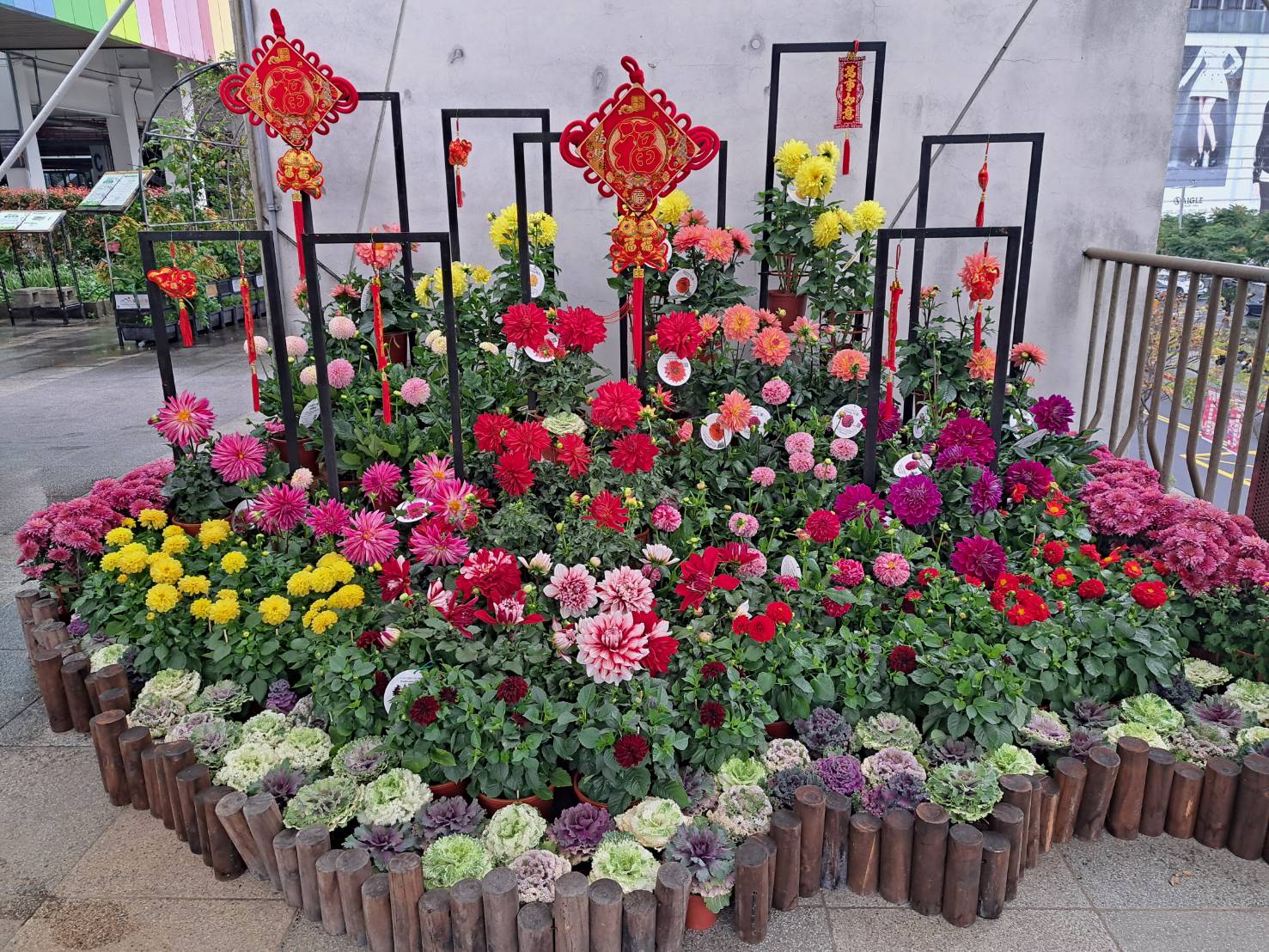 台北花市春節檔期開跑  優質花卉打造應景新意象...