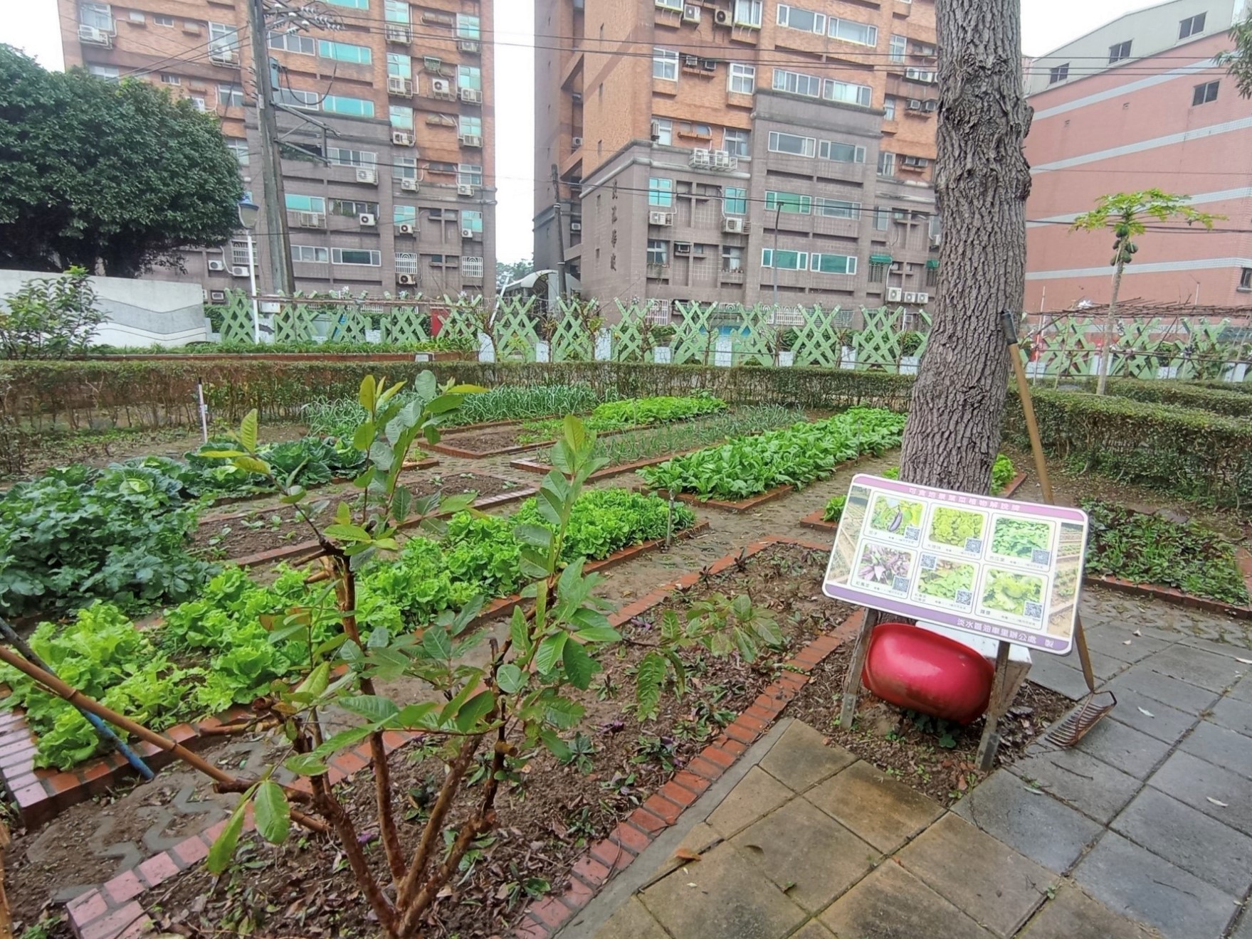 北市「里環境認證計畫」化身景觀公園及零碳開心農場...