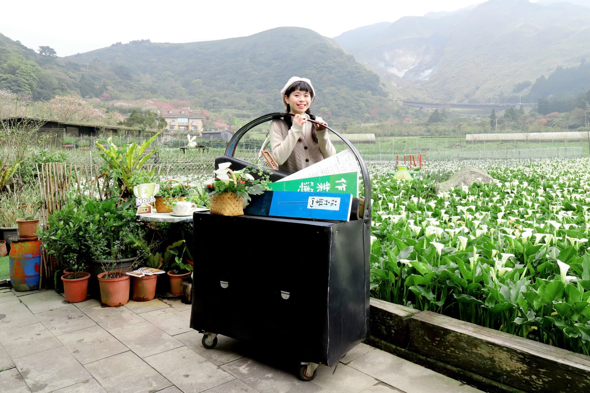 臺北青農返鄉耕耘 海芋花田揮灑創意...