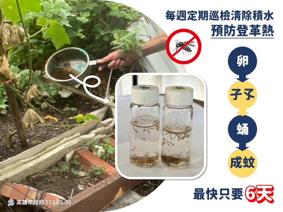 有效防範登革熱每週定期巡倒清刷  查獲孳生病媒蚊最高處...
