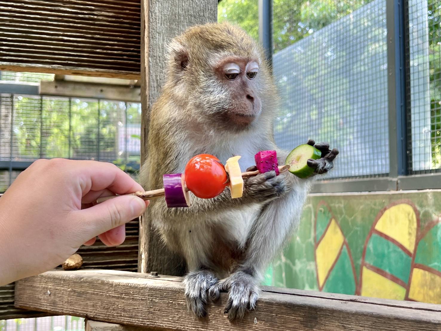 壽山動物園創意送禮 動物大享中秋野營餐點...