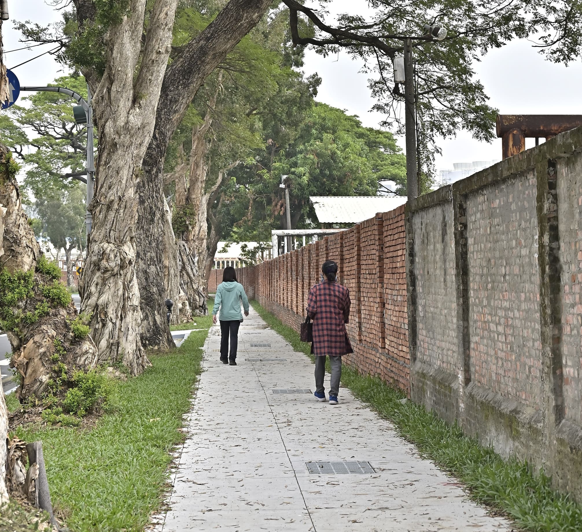 兼顧景觀與生態  楠梓產業園區後昌路營造舒適綠蔭人行步...