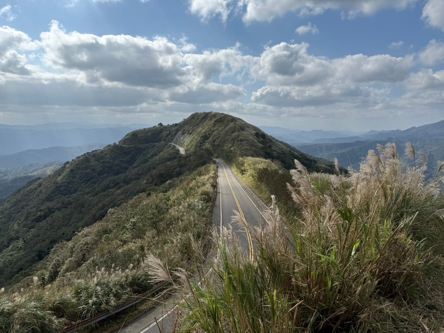 新北4處賞芒景點推薦  與銀白花海共度浪漫時光...