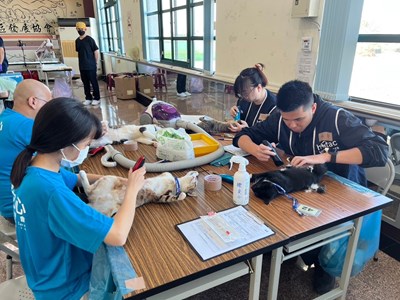偏區犬貓絕育活動圓滿結束  公私協力守護毛小孩...