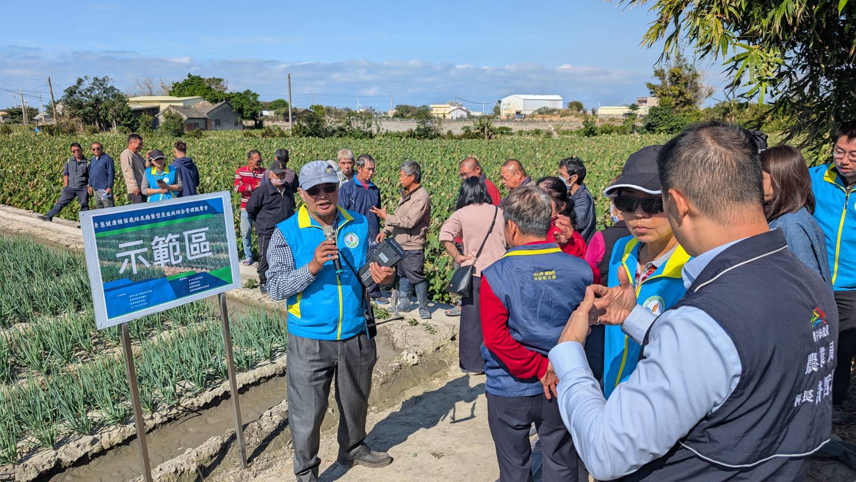中市偕農業改良場建構青蔥健康種苗生產體系  防治青蔥捲...