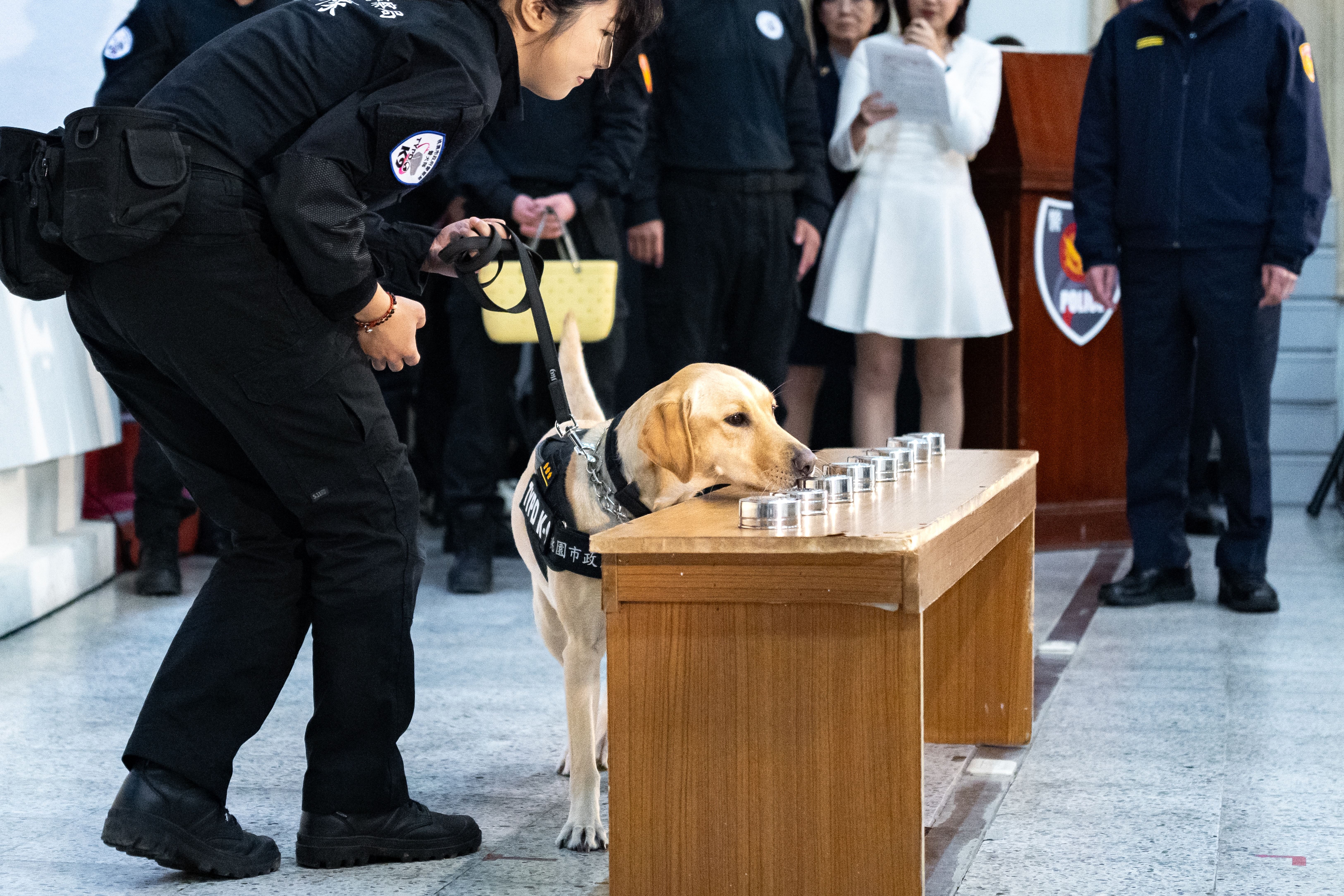 桃市警犬隊正式成軍　 期勉查緝任務事半功倍...