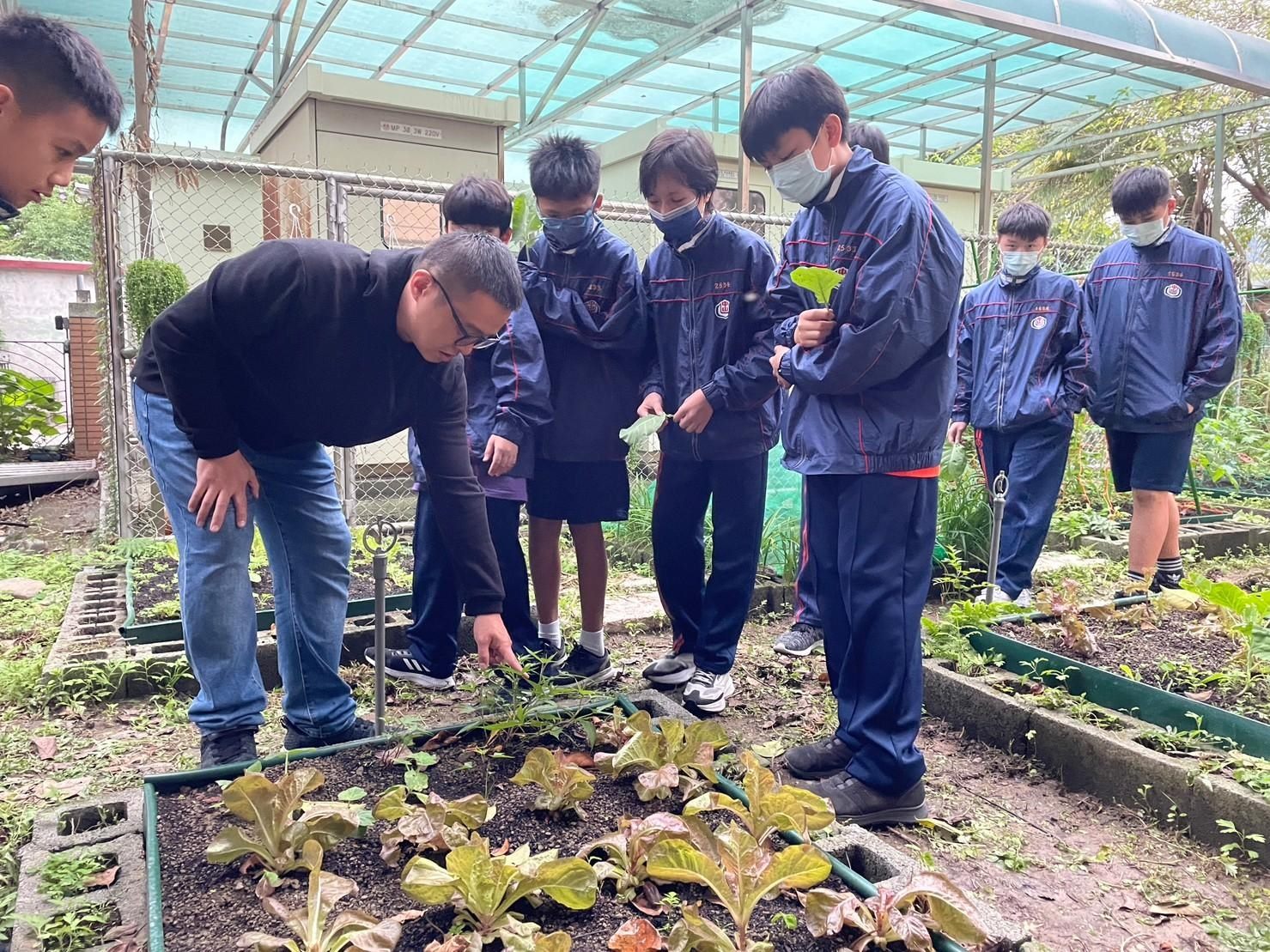 校校有田園食在很安全 北市113年績優學校65校獲獎 ...