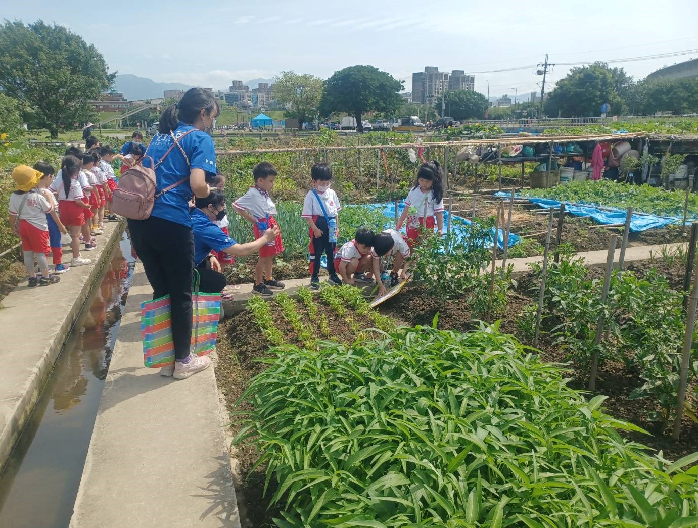 新北大都會公園樂活農園  舒活身心體驗農作樂趣...