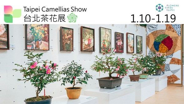 台北四季繁花似錦  明年第一棒茶花展...